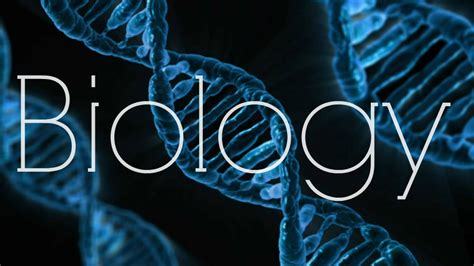 EDU4ALL – screenshot 8