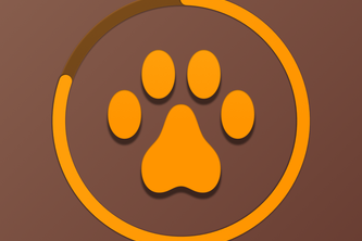 FoxyFocus: Focus & Study Timer