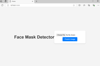 face mask detection