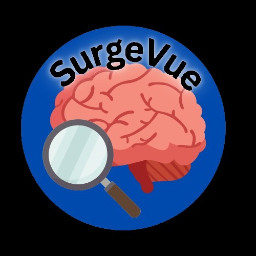 SurgeVue – screenshot 1