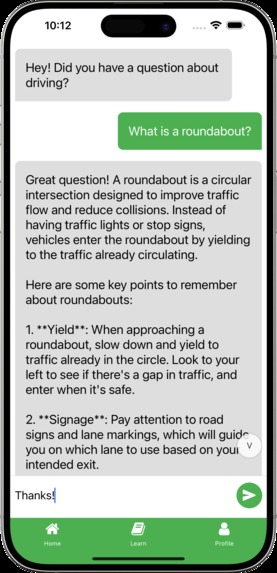DriveWise – screenshot 2