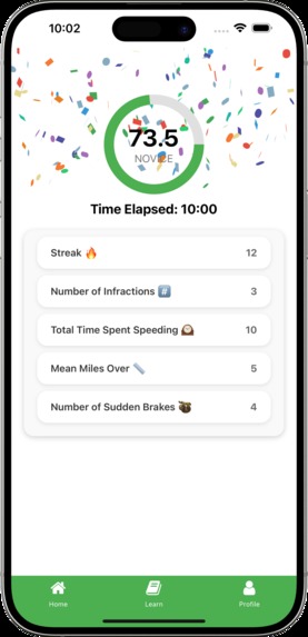 DriveWise – screenshot 3