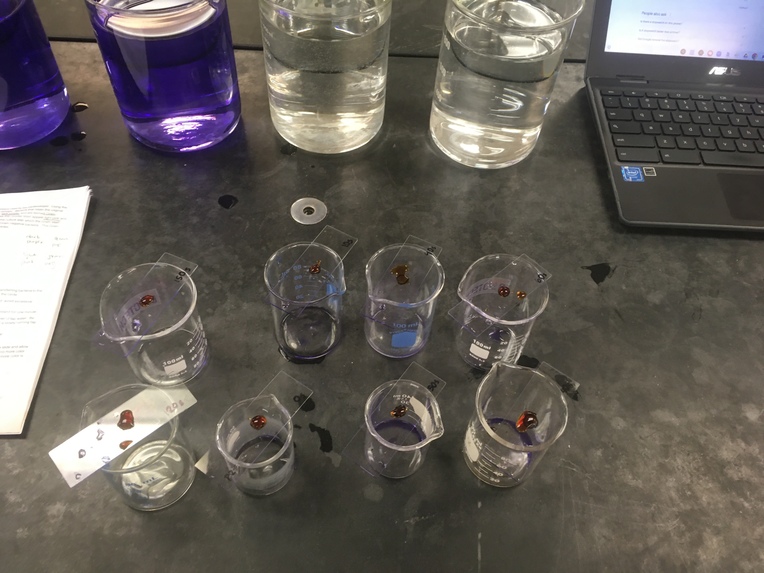 TSF2024 – screenshot 3