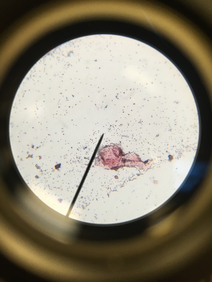 TSF2024 – screenshot 4