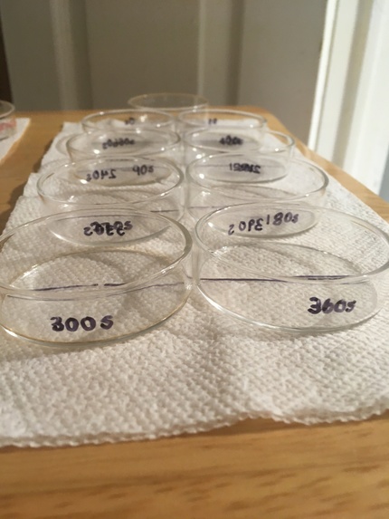 TSF2024 – screenshot 6