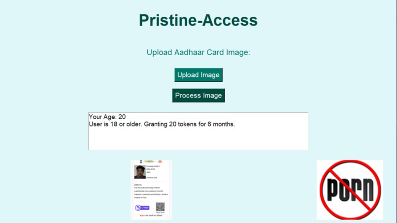 Prestine-Acess [ to minimize the pornography in Youngsters]  – screenshot 3