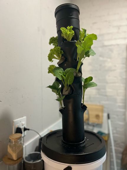 Rusero AgriTech – screenshot 1