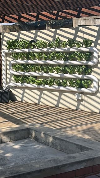 Rusero AgriTech – screenshot 2