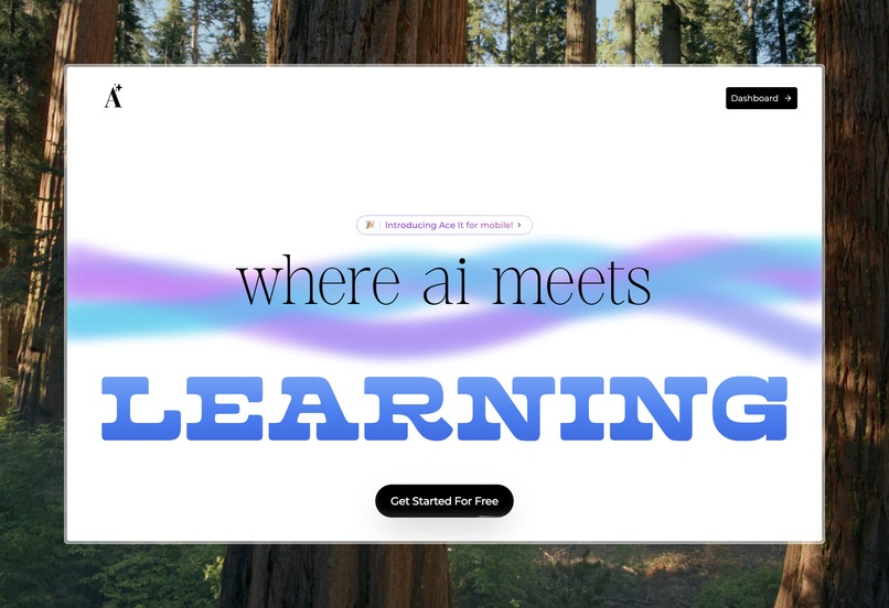 Ace It – screenshot 1