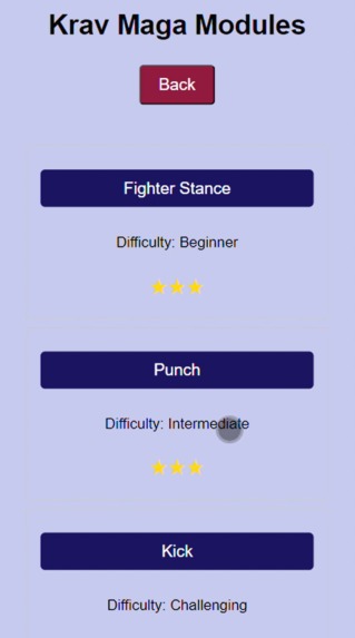 Fight and Furious – screenshot 2
