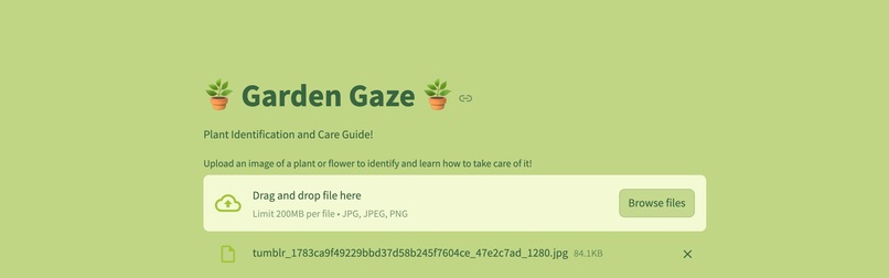 Garden Gaze – screenshot 1