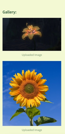 Garden Gaze – screenshot 3