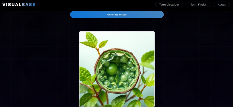 VisualEase – screenshot 2
