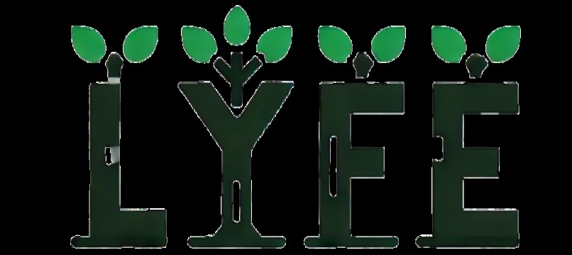 LYFE: Sustainable Consulting and E-Commerce – screenshot 5