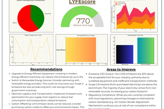 LYFE: Sustainable Consulting and E-Commerce