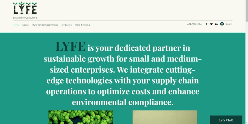 LYFE: Sustainable Consulting and E-Commerce – screenshot 3