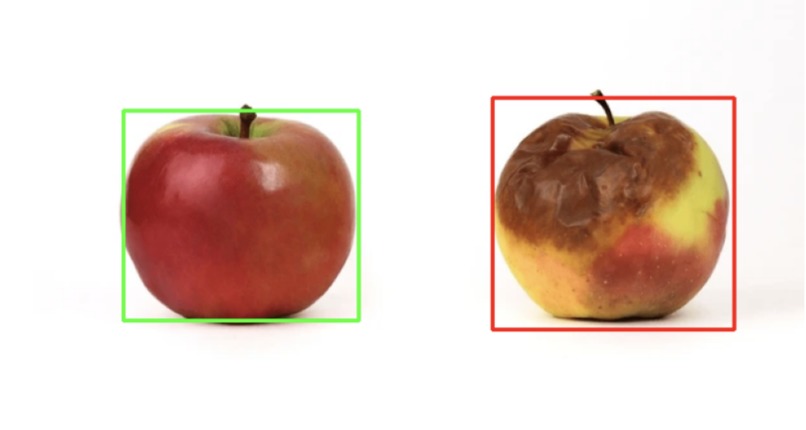 Spoiled Apple Detector: Reducing Waste – screenshot 2