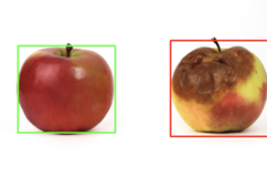 Spoiled Apple Detector