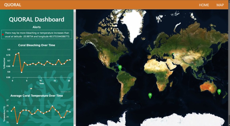 Quoral – screenshot 2