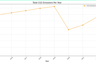 Analytical Dive into Carbon Emissions from Airplanes