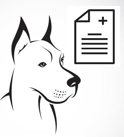 DocuDane – screenshot 1