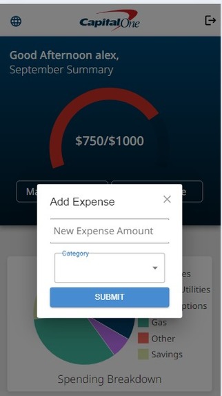 Capital Literacy – screenshot 2