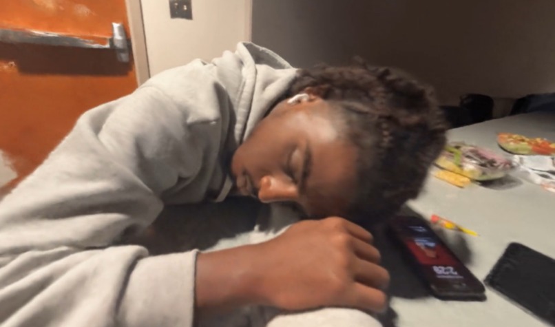 NeRF or Nothing – screenshot 2