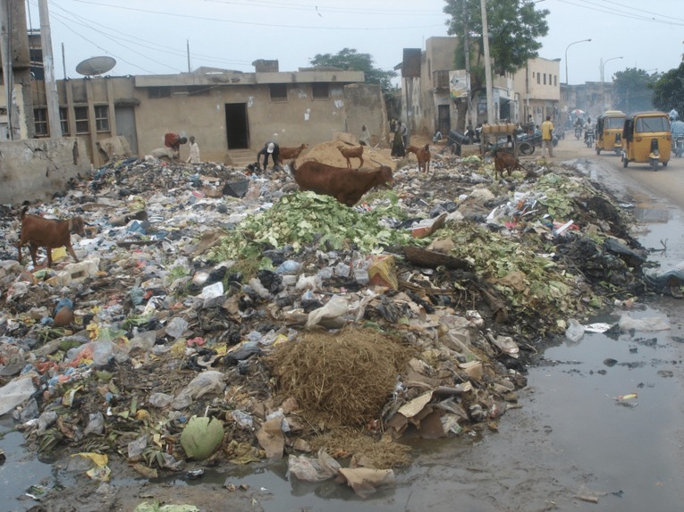 Shara.io – screenshot 5