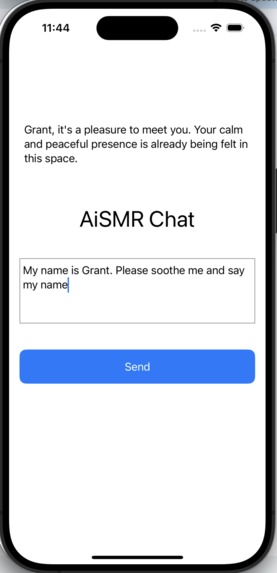 AiSMR – screenshot 1