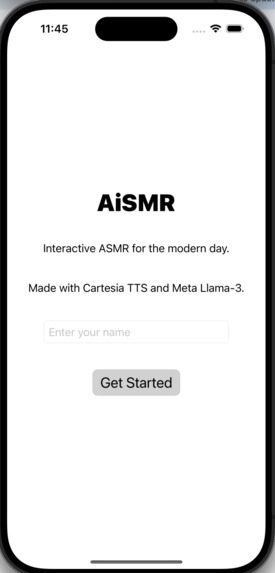 AiSMR – screenshot 2