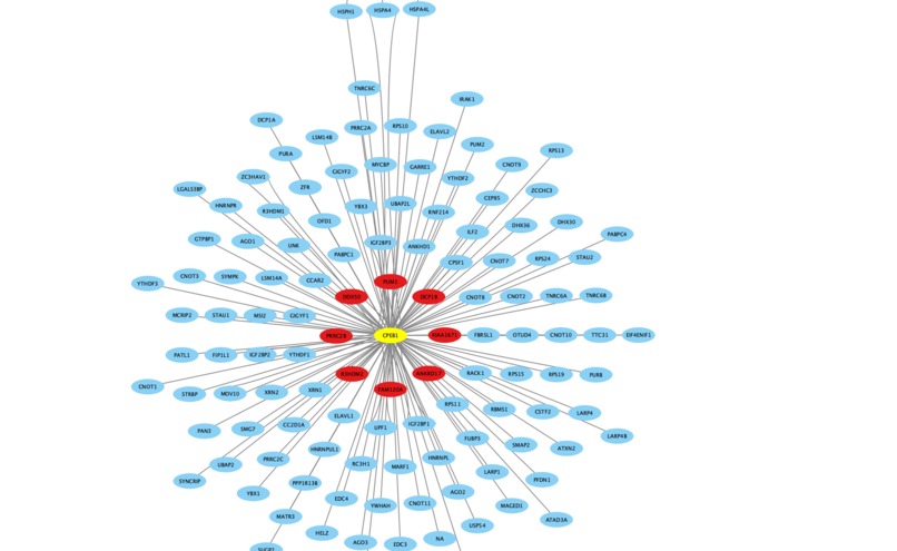 Co-expression Bridge – screenshot 2