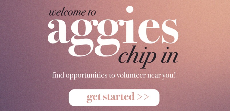 Aggies Chip In – screenshot 1