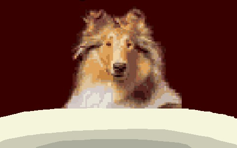 Texas Hold Em Vs. Reveille – screenshot 1