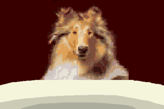 Texas Hold Em Vs. Reveille