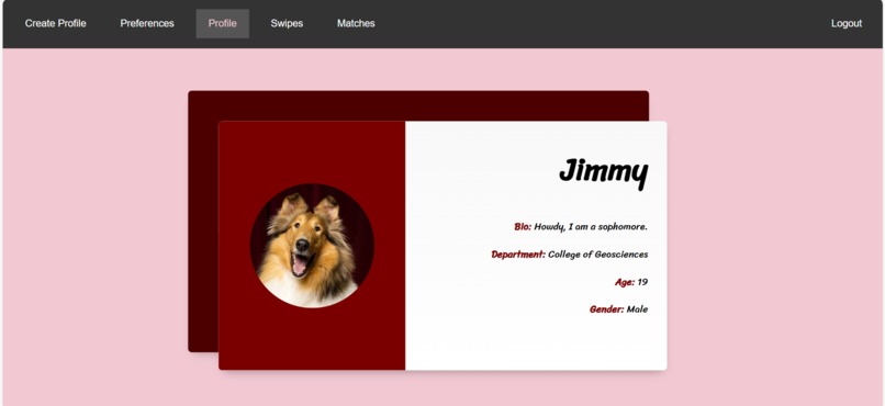 AggieMatch – screenshot 5