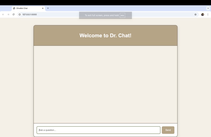 Medical Chat Bot (Dr. Chat) – screenshot 3