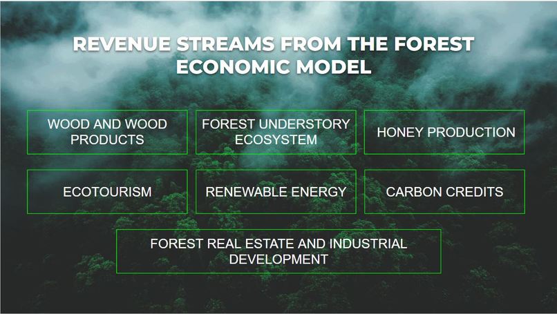 Green Vision Eco – screenshot 2