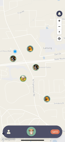 Find My Pet – screenshot 1
