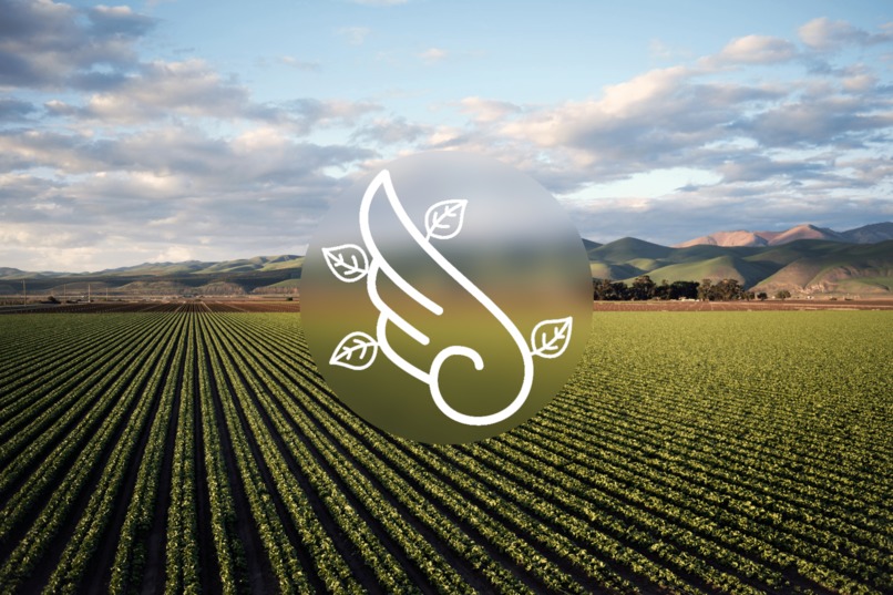 FlyerFinder – screenshot 1