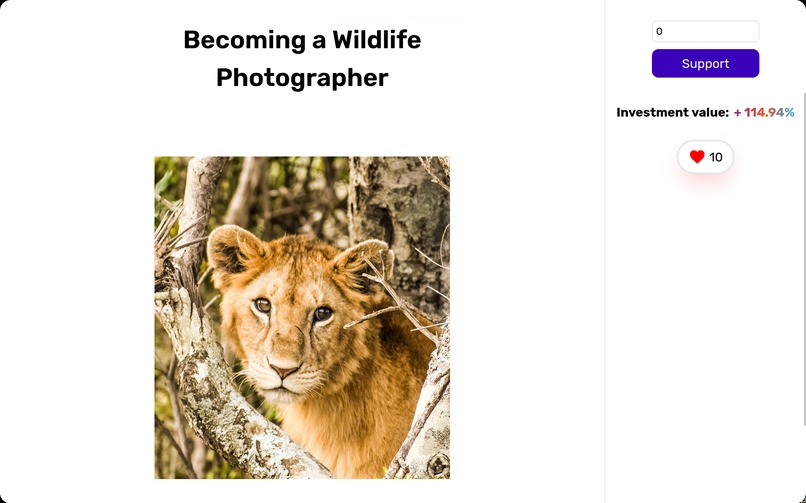 Dream with Us – screenshot 2