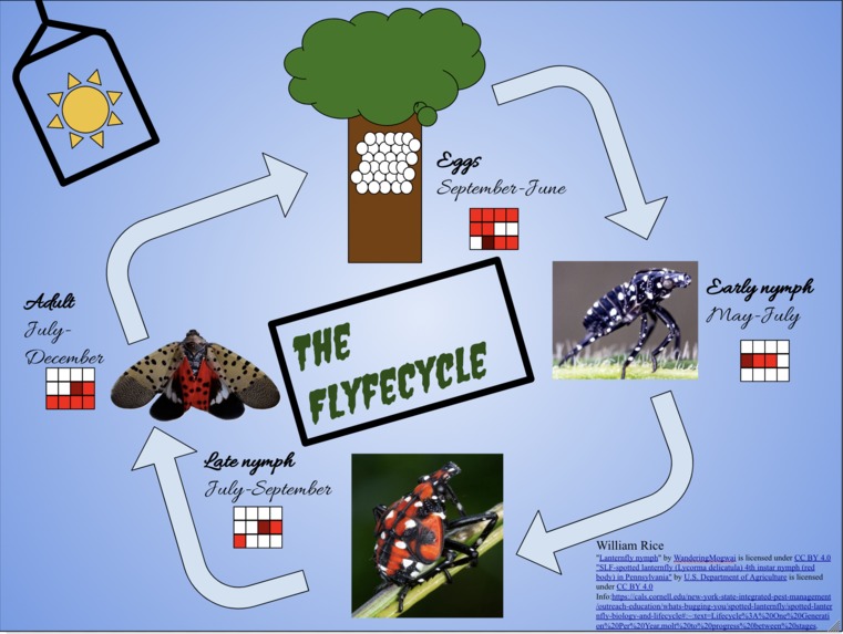 Begone Spotted Lanternfly – screenshot 4