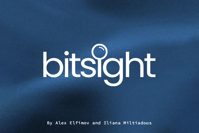 Bitsight – screenshot 1