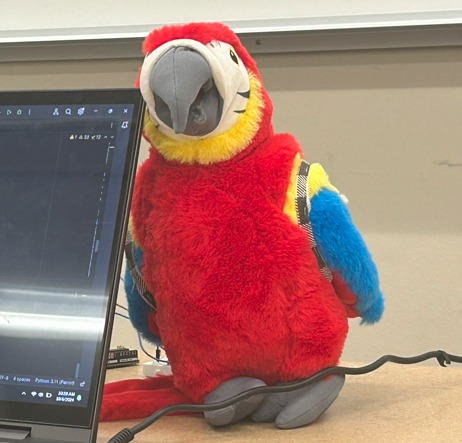 Polly the Parrot – screenshot 1