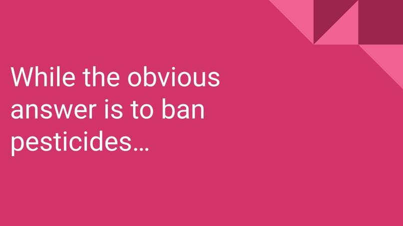 butterflyDatathon – screenshot 7