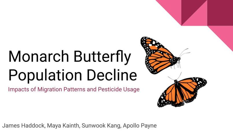 butterflyDatathon – screenshot 1
