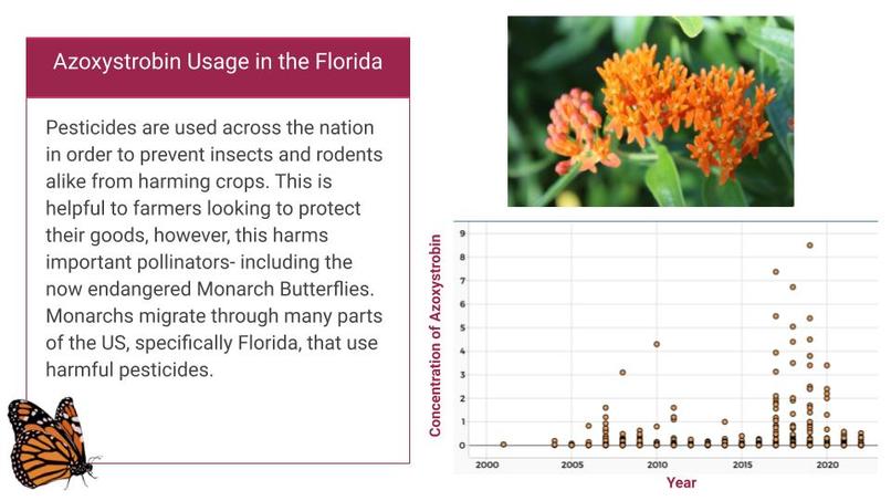 butterflyDatathon – screenshot 4