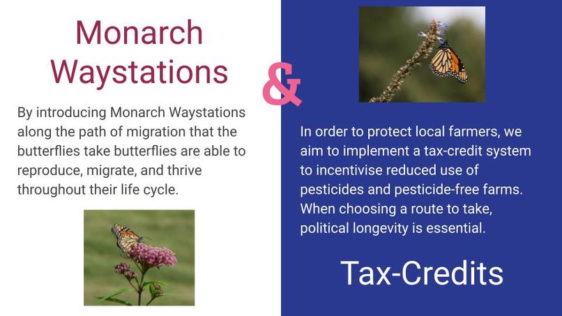 butterflyDatathon – screenshot 8