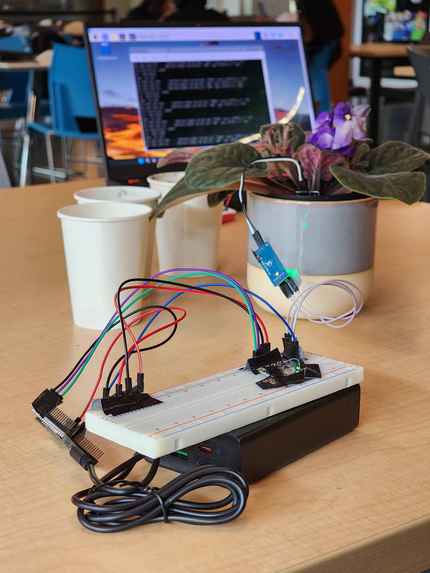 PlantPals – screenshot 1