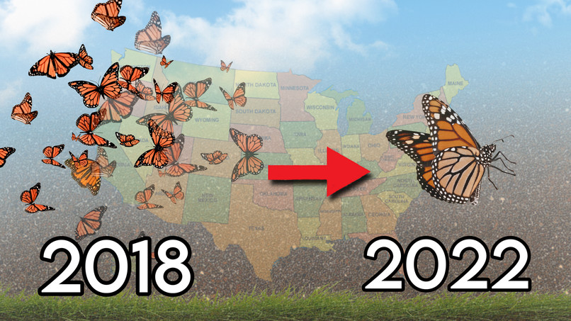 Caterpillar to Crisis – screenshot 1