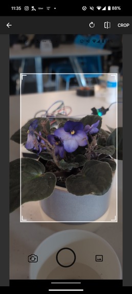 PlantPals – screenshot 6